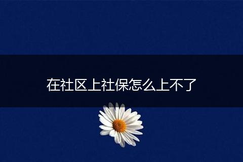 在社区上社保怎么上不了