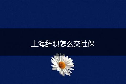 上海辞职怎么交社保