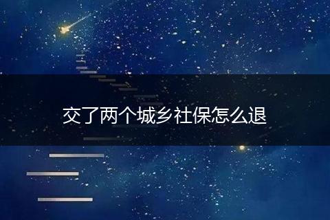 交了两个城乡社保怎么退