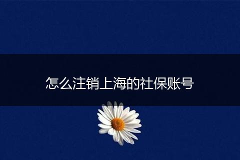 怎么注销上海的社保账号