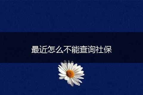 最近怎么不能查询社保
