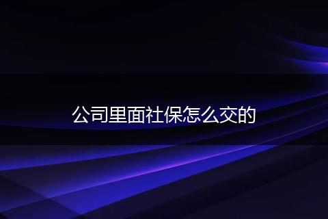 公司里面社保怎么交的