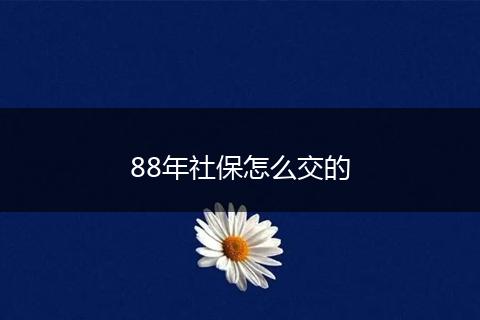 88年社保怎么交的