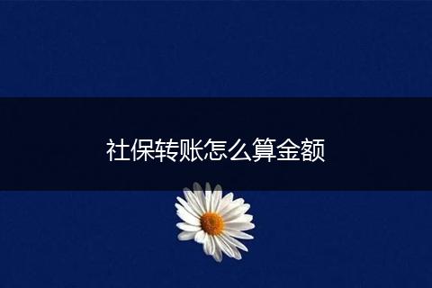 社保转账怎么算金额