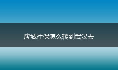 应城社保怎么转到武汉去