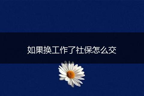 如果换工作了社保怎么交