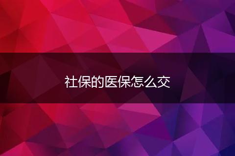 社保的医保怎么交