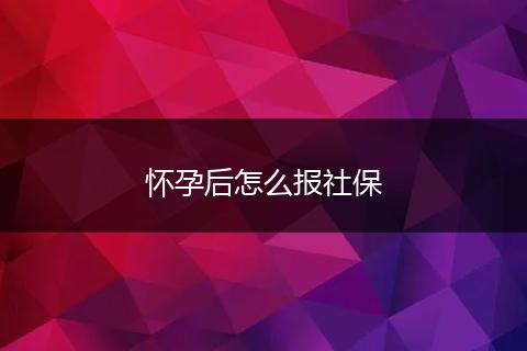 怀孕后怎么报社保