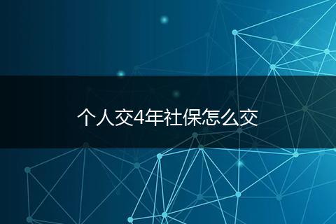 个人交4年社保怎么交