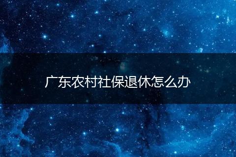 广东农村社保退休怎么办