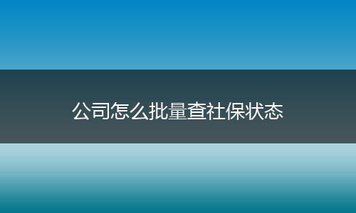 公司怎么批量查社保状态