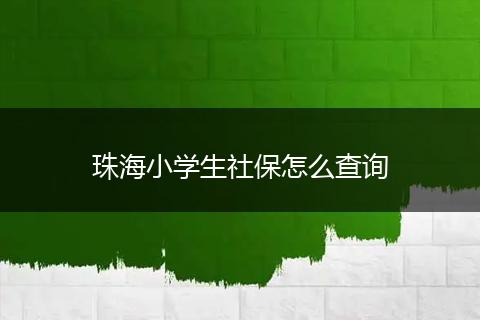 珠海小学生社保怎么查询