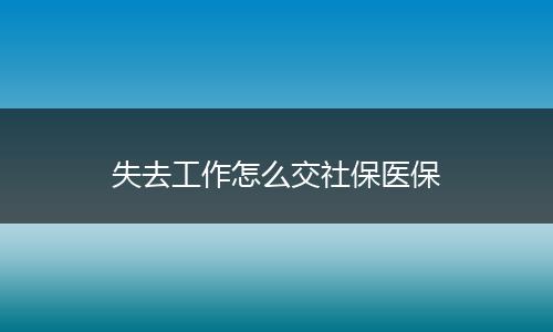失去工作怎么交社保医保