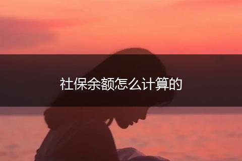 社保余额怎么计算的