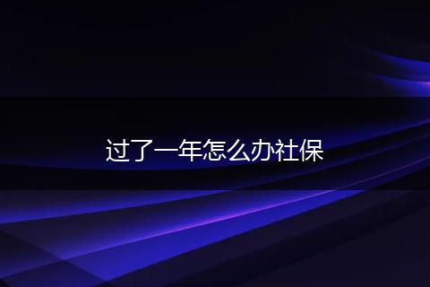 过了一年怎么办社保