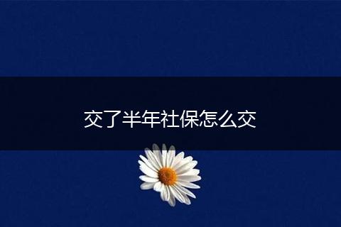 交了半年社保怎么交