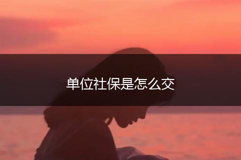 单位社保是怎么交