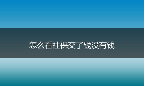 怎么看社保交了钱没有钱