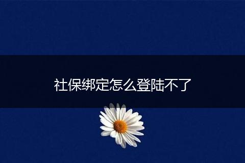 社保绑定怎么登陆不了