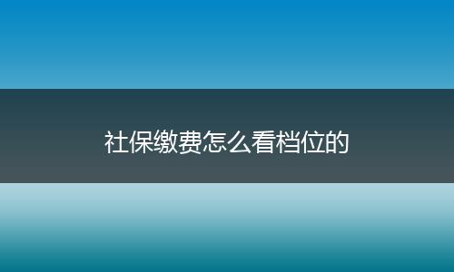 社保缴费怎么看档位的