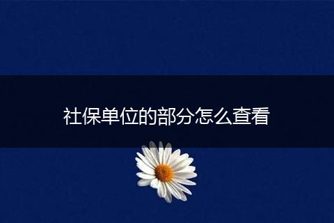社保单位的部分怎么查看