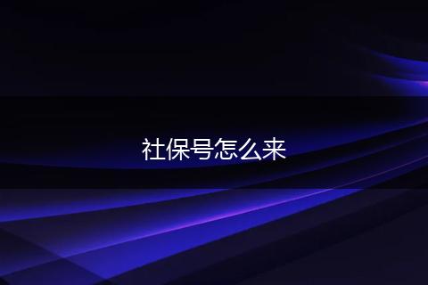 社保号怎么来