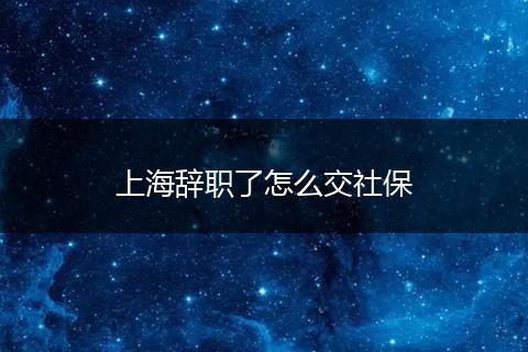 上海辞职了怎么交社保