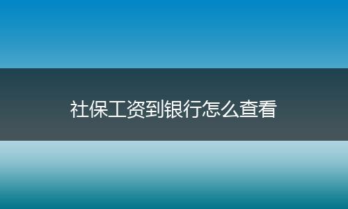 社保工资到银行怎么查看