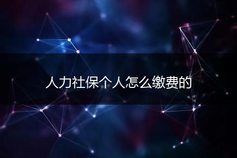 人力社保个人怎么缴费的