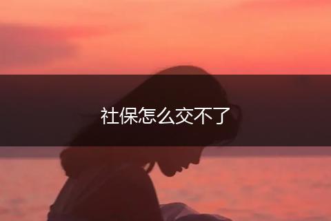 社保怎么交不了
