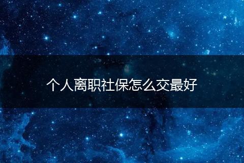 个人离职社保怎么交最好