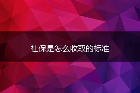 社保是怎么收取的标准