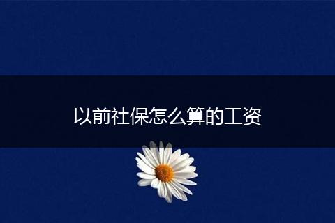 以前社保怎么算的工资