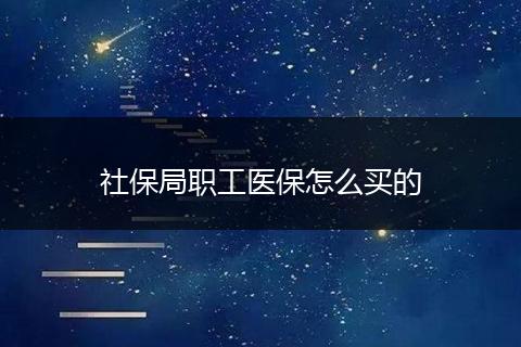 社保局职工医保怎么买的