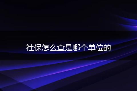 社保怎么查是哪个单位的