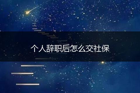 个人辞职后怎么交社保