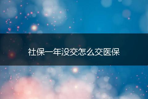 社保一年没交怎么交医保