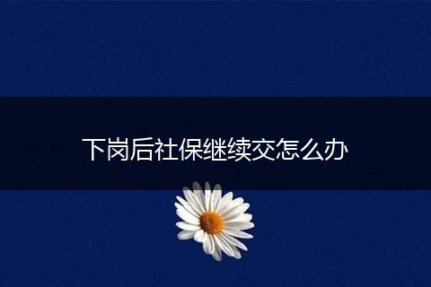 下岗后社保继续交怎么办