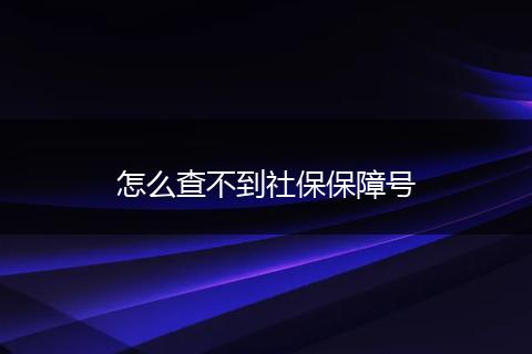怎么查不到社保保障号