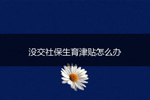 没交社保生育津贴怎么办