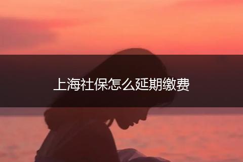 上海社保怎么延期缴费
