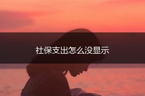 社保支出怎么没显示