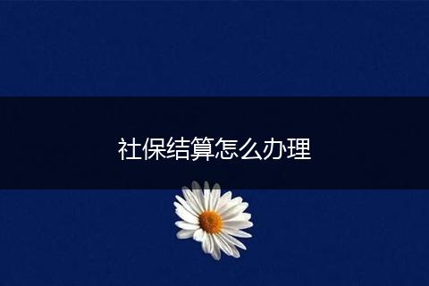 社保结算怎么办理