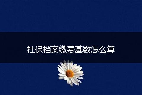社保档案缴费基数怎么算