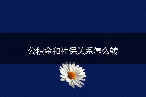 公积金和社保关系怎么转