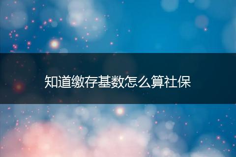 知道缴存基数怎么算社保
