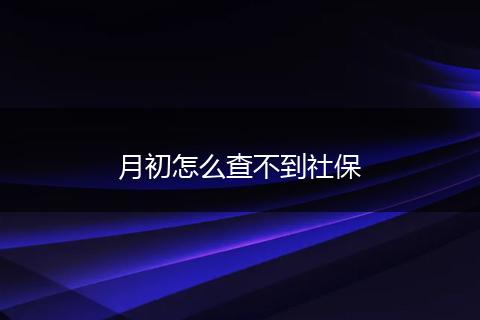 月初怎么查不到社保