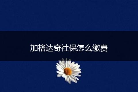 加格达奇社保怎么缴费