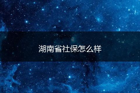 湖南省社保怎么样