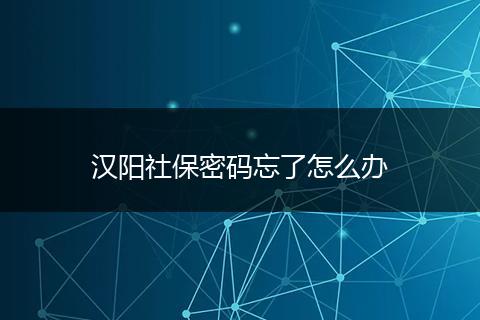 汉阳社保密码忘了怎么办